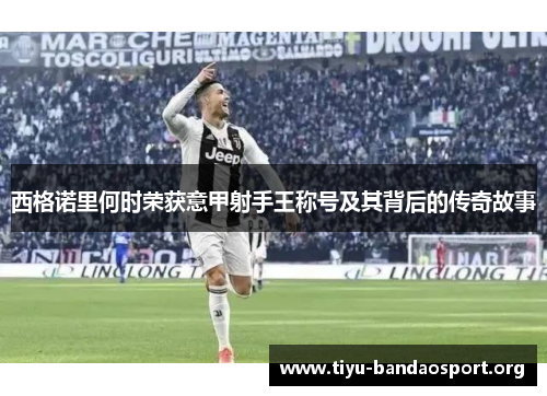 西格诺里何时荣获意甲射手王称号及其背后的传奇故事