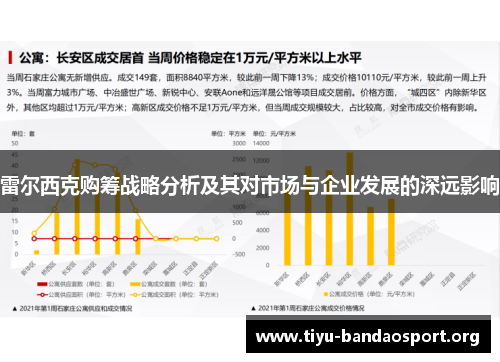 雷尔西克购筹战略分析及其对市场与企业发展的深远影响 雷尔西克购筹战略分析及其对市场与企业发展的深远影响